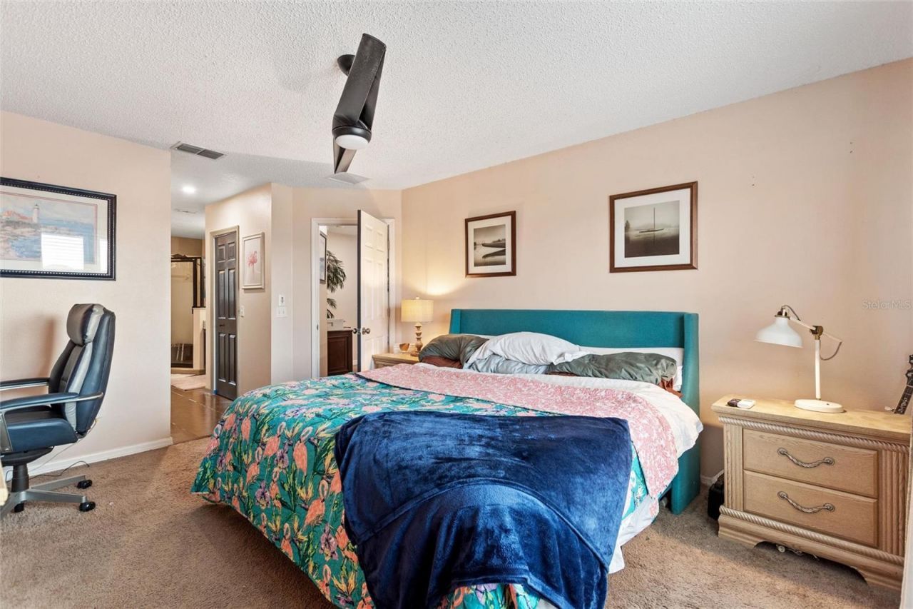 2520 Calla Lily Cove, Kissimmee, FL 34758 Photo