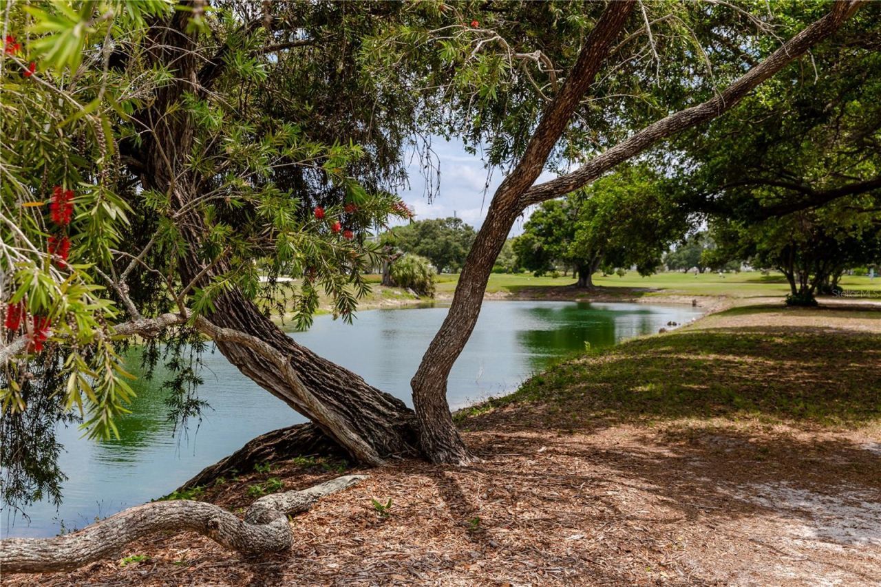2284 Spanish Drive, Unit 50, Clearwater, FL 33763 Photo