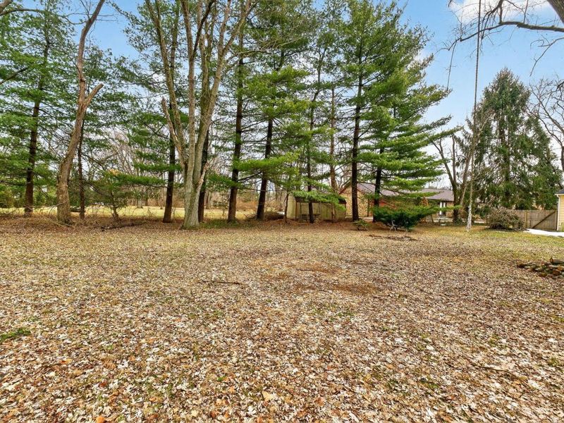 4628 Wyandotte Drive, Columbus, OH 43230 Photo 38