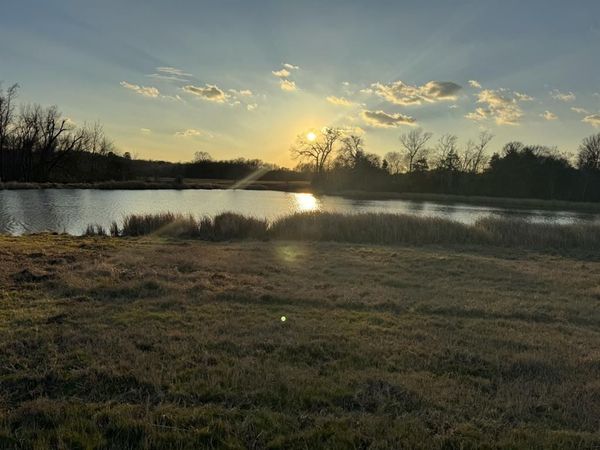 7240 E Hwy 294 , Elkhart, TX 75839