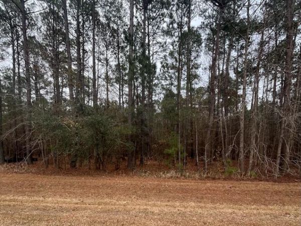 Lot 80 Banning Way Road, Tallahassee, FL 32309
