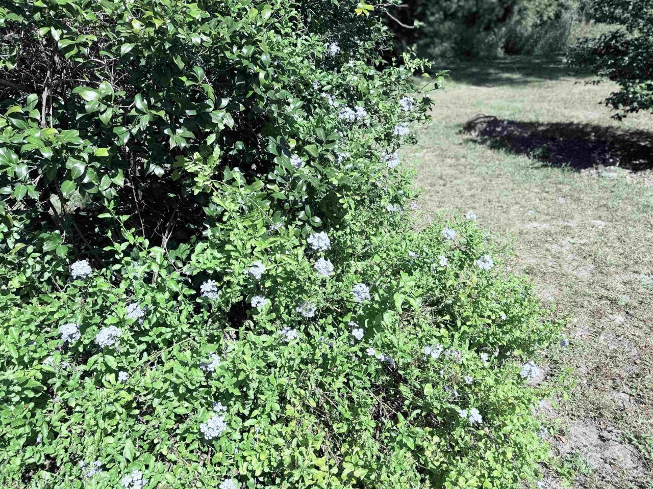 17268 181st Loop, Live Oak, FL 32060 Photo