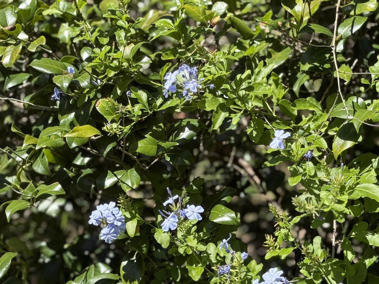 17268 181st Loop, Live Oak, FL 32060 Photo