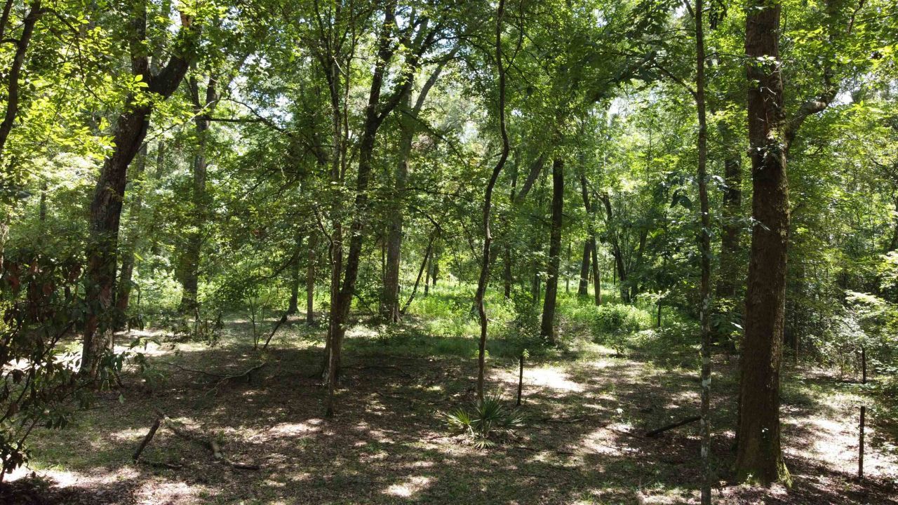 17268 181st Loop, Live Oak, FL 32060 Photo