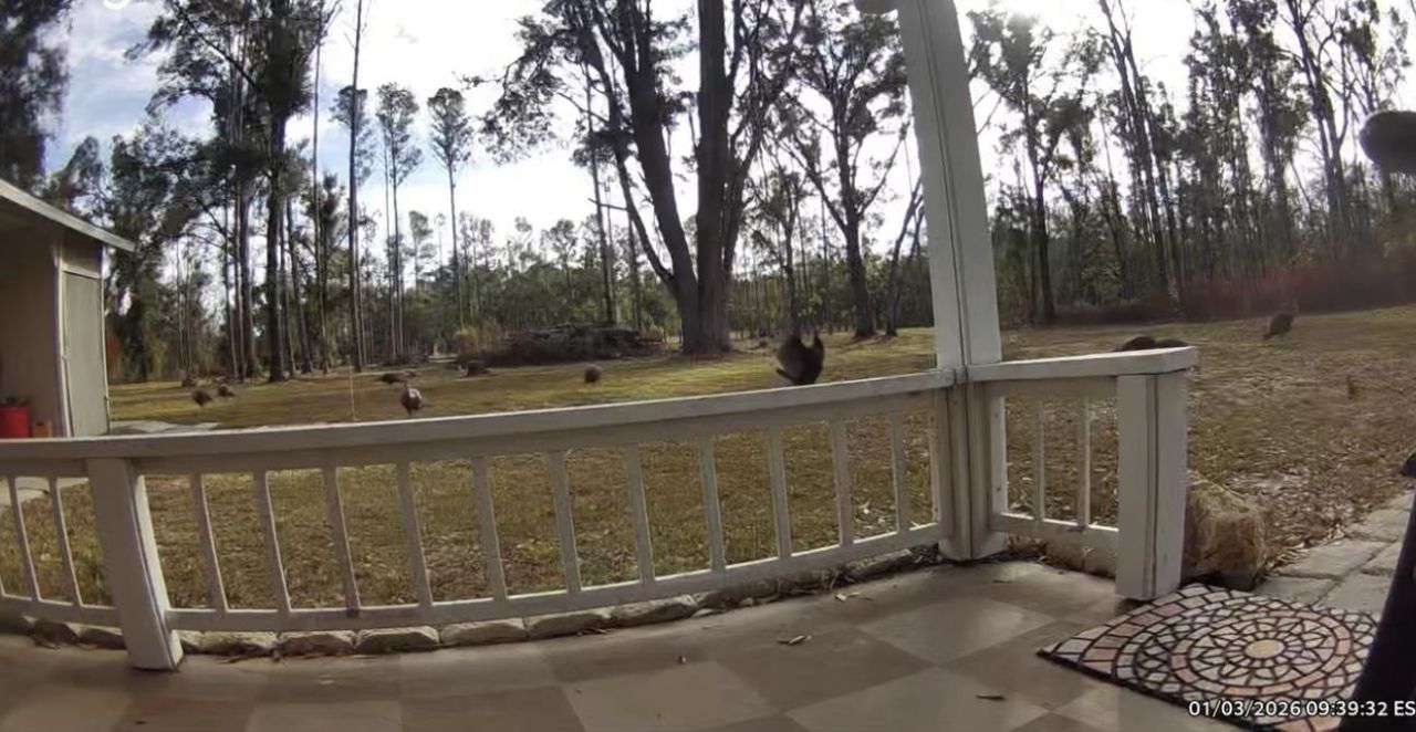 17268 181st Loop, Live Oak, FL 32060 Photo