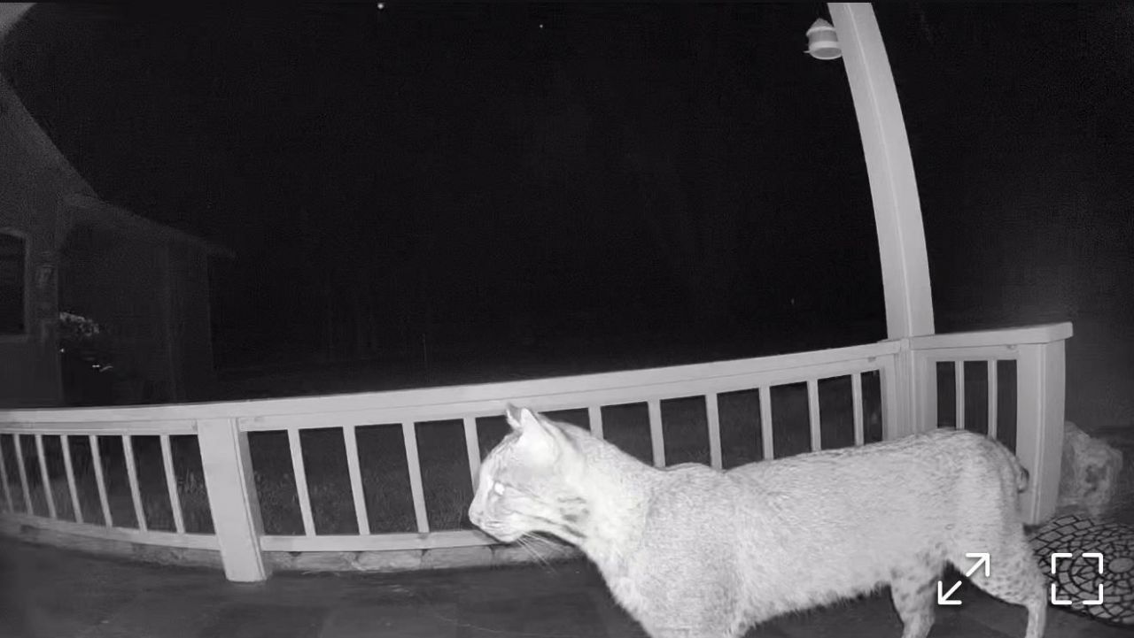 17268 181st Loop, Live Oak, FL 32060 Photo