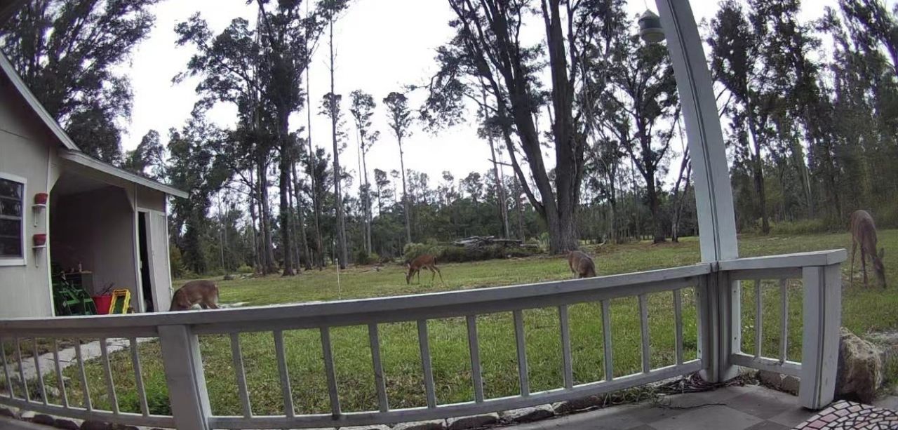 17268 181st Loop, Live Oak, FL 32060 Photo