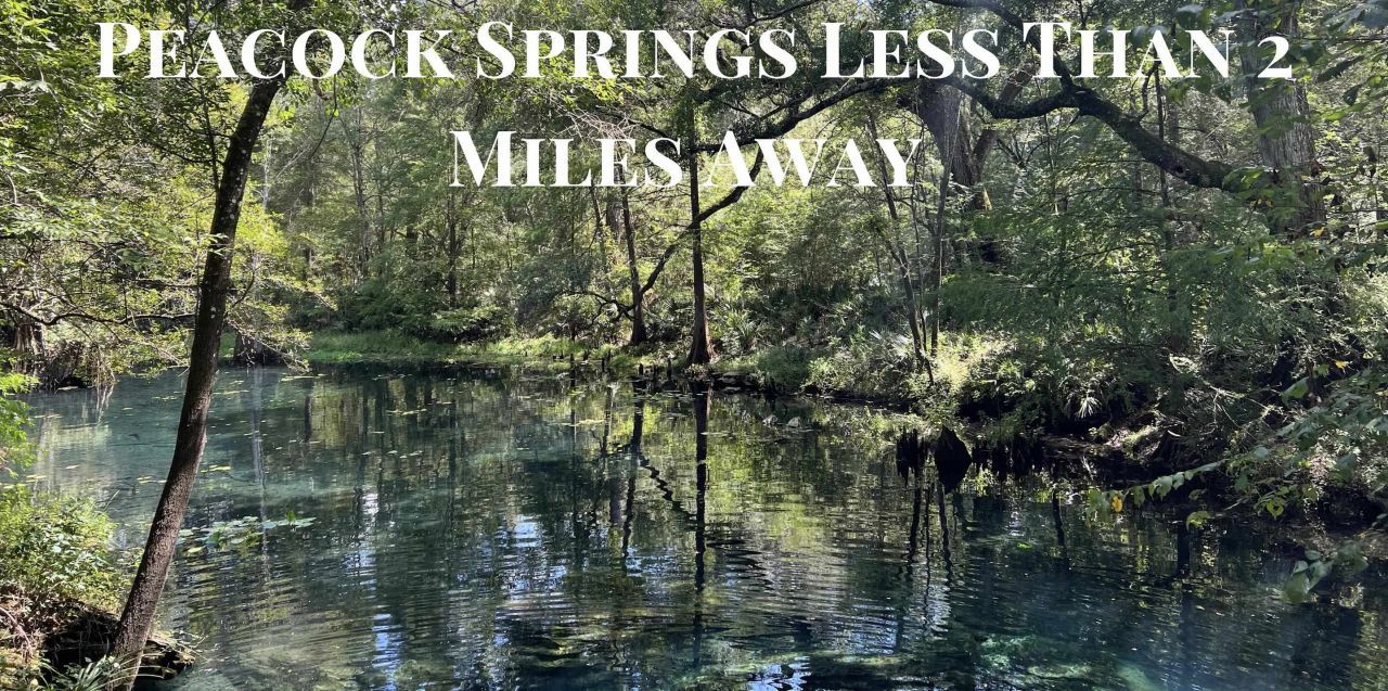 17268 181st Loop, Live Oak, FL 32060 Photo