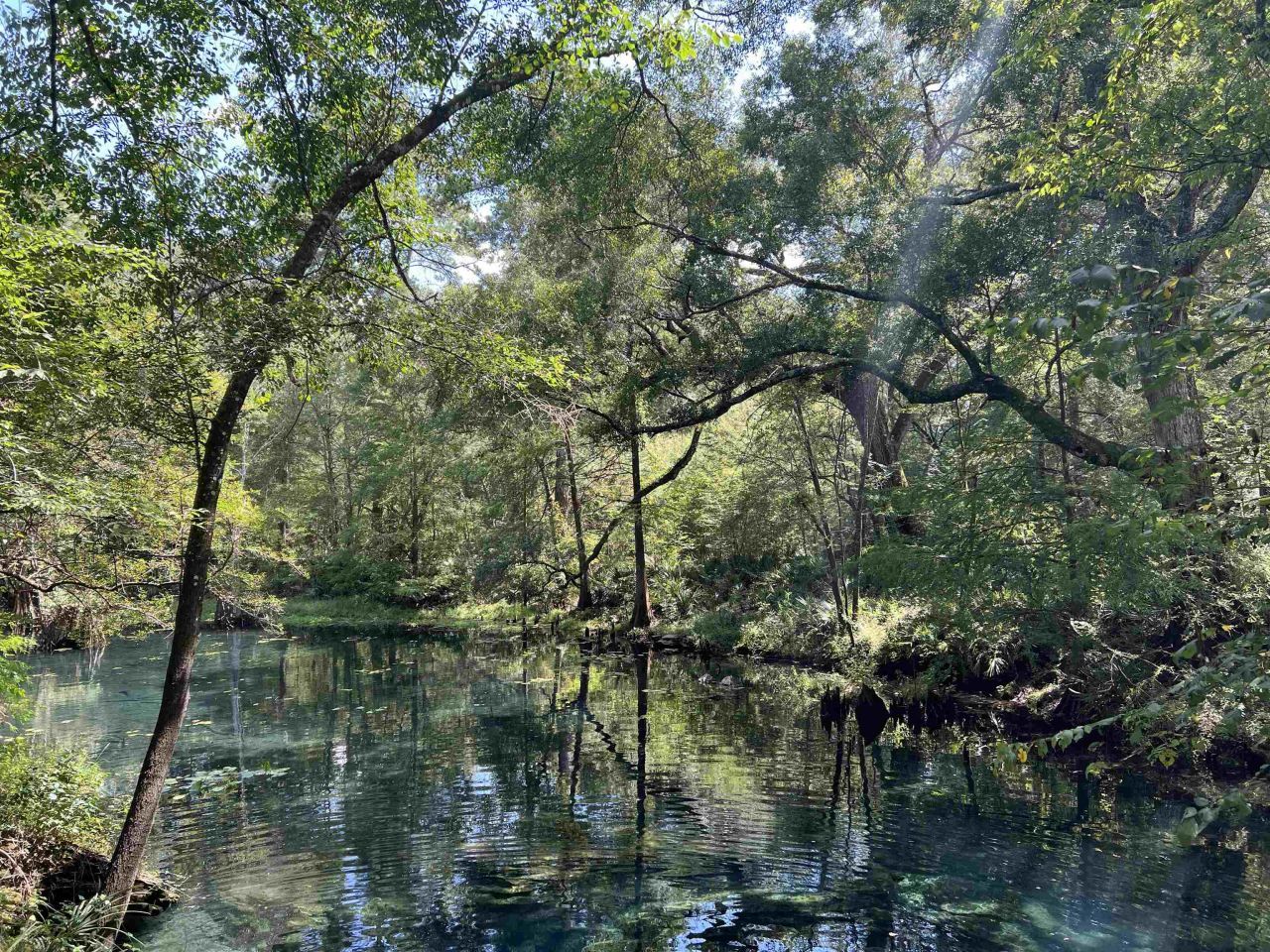 17268 181st Loop, Live Oak, FL 32060 Photo