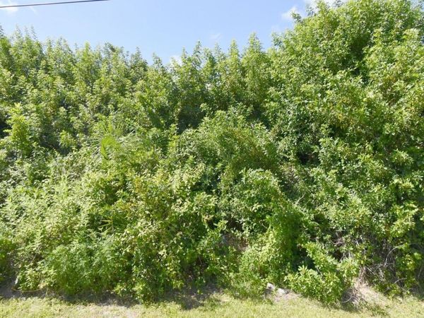 1582 SW Jacksonville Ave, Port St Lucie, FL 34953