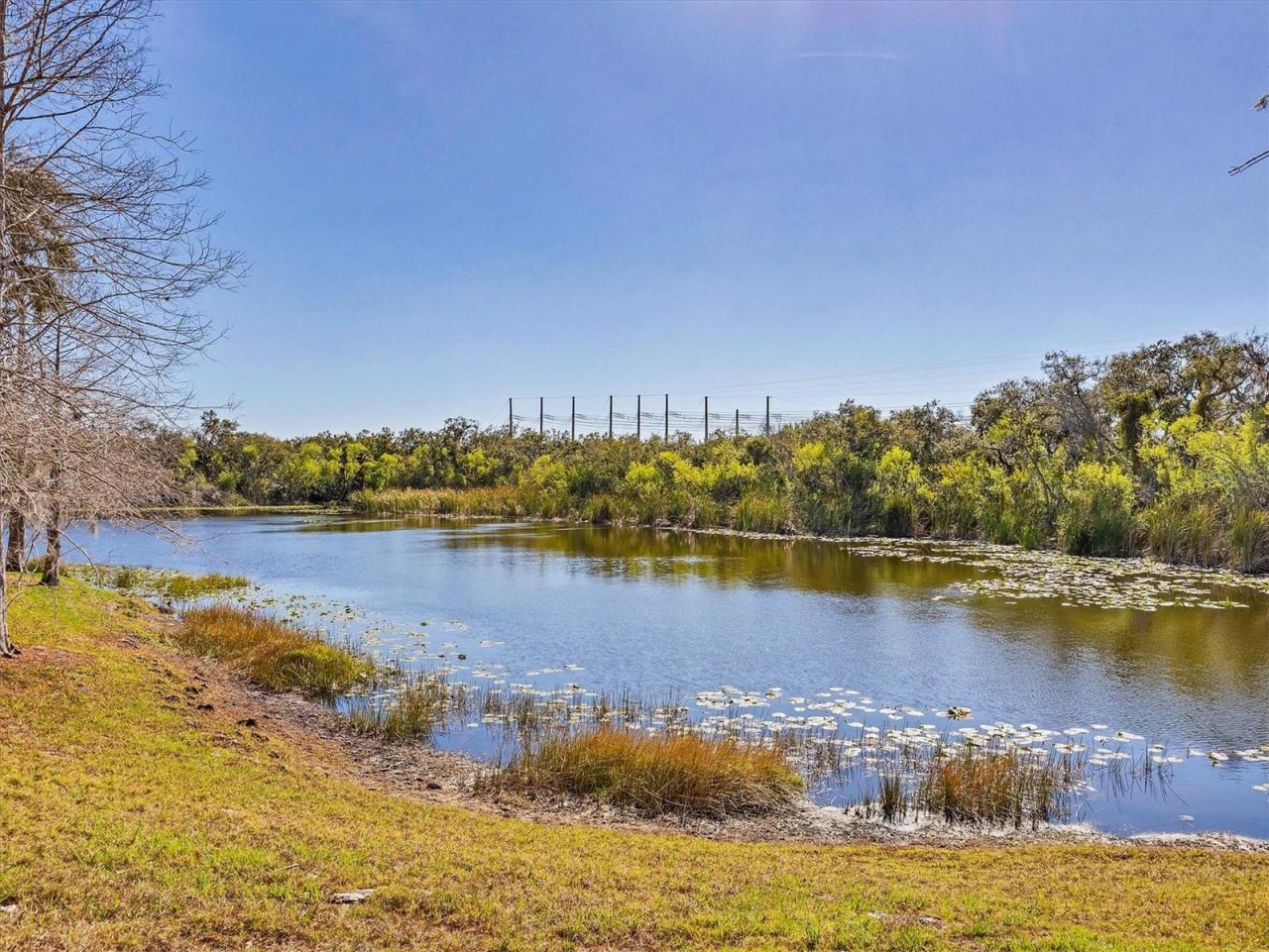 8717 Spruce Hills Court, Unit 8717, Lakewood Ranch, FL 34202 Photo