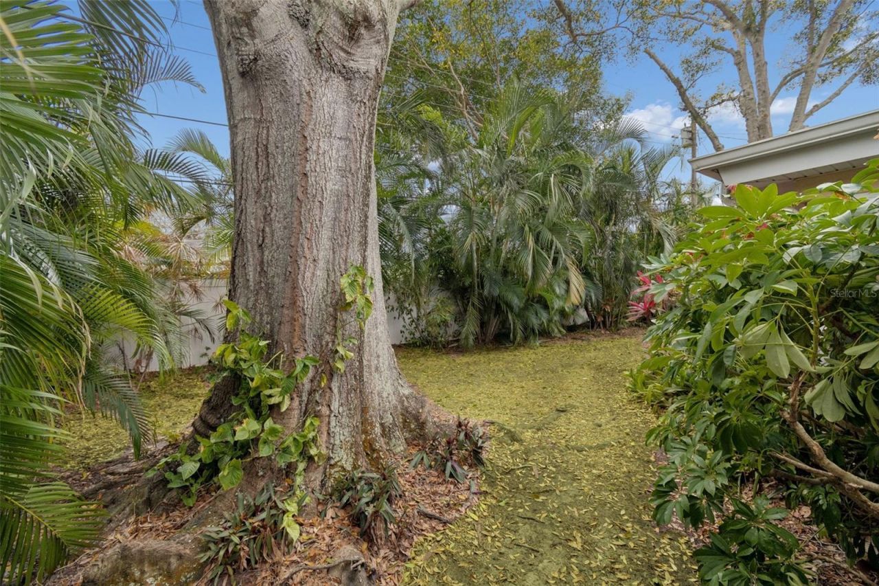 2268 Indian Avenue N, Belleair Bluffs, FL 33770 Photo