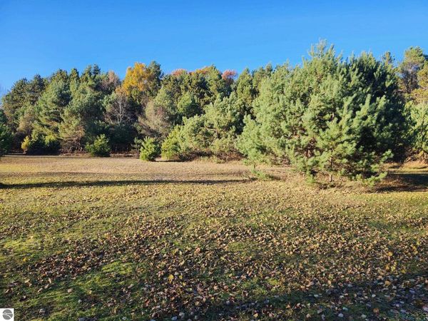 9 Mile Road, Kaleva, MI 49645