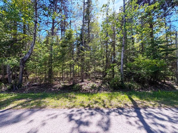 L 275-276 Lakehurst Drive, Presque Isle, MI 49777