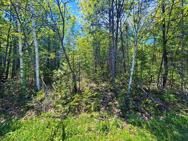 Lot 148 Pineview Drive, Presque Isle, MI 49777