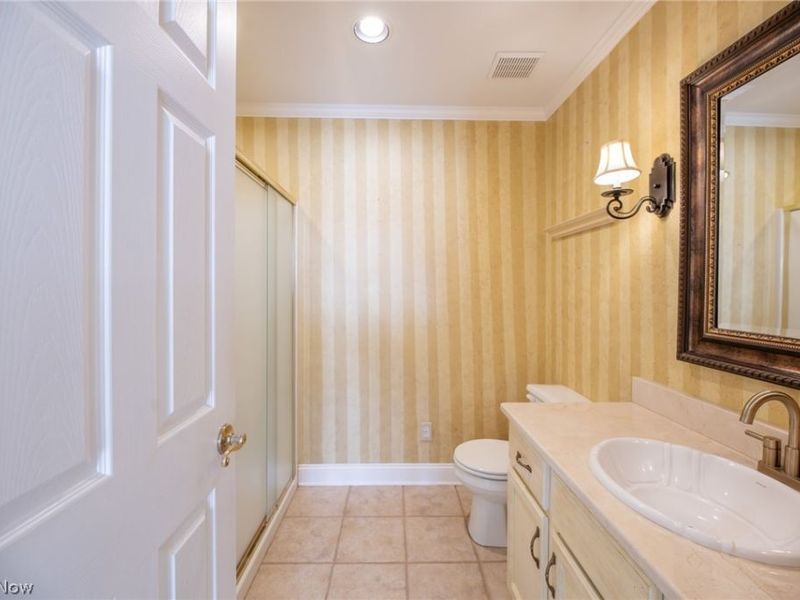 503 Cutler Lane, Hudson, OH 44236 Photo 17