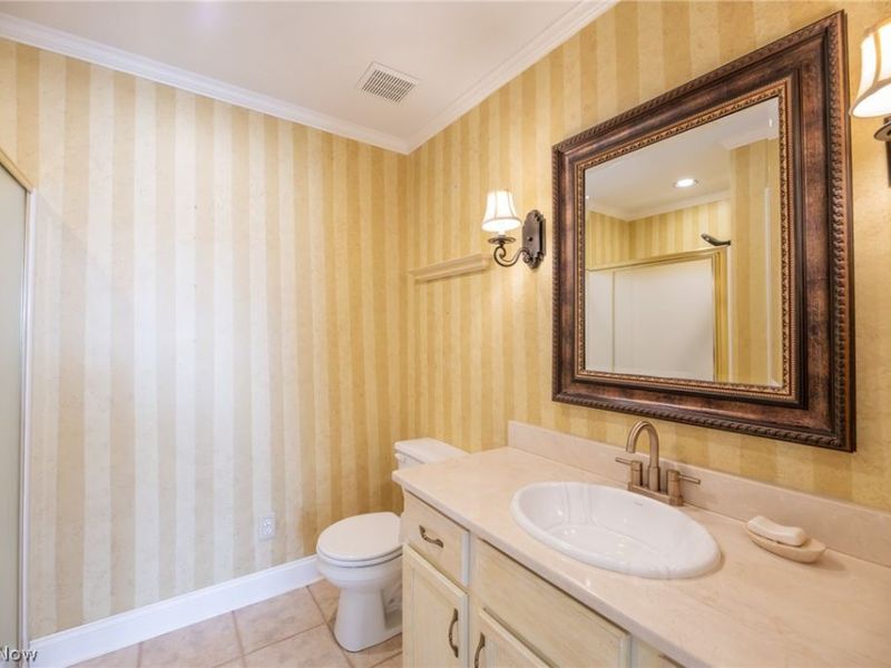 503 Cutler Lane, Hudson, OH 44236 Photo 18