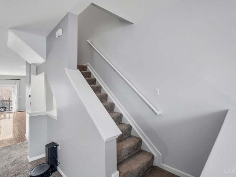 1113 Cutter Street, Cincinnati, OH 45203 Photo 26