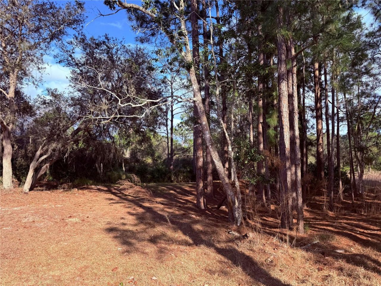 900 Racoon Trail, Frostproof, FL 33843 Photo