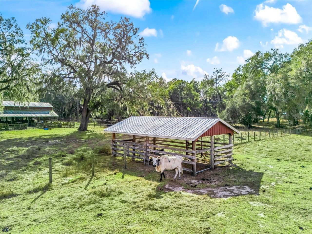 4430 Cr 542h, Bushnell, FL 33513 Photo