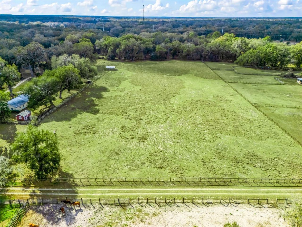 4430 Cr 542h, Bushnell, FL 33513 Photo