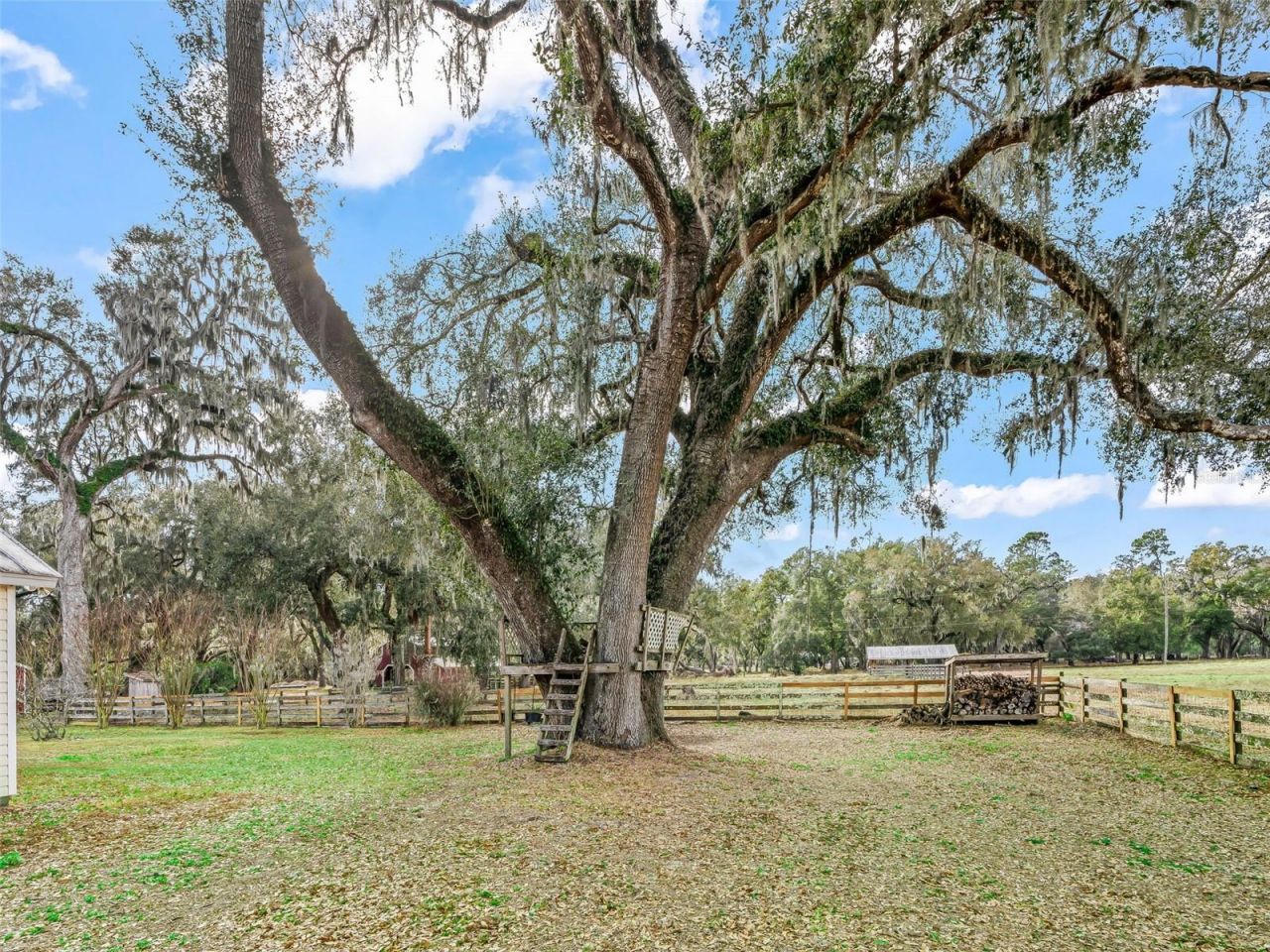 4430 Cr 542h, Bushnell, FL 33513 Photo