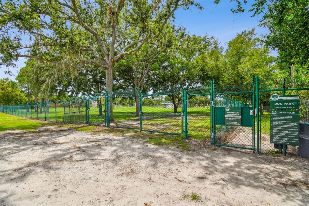 3106 Lake Ellen Drive, Tampa, FL 33618 Photo