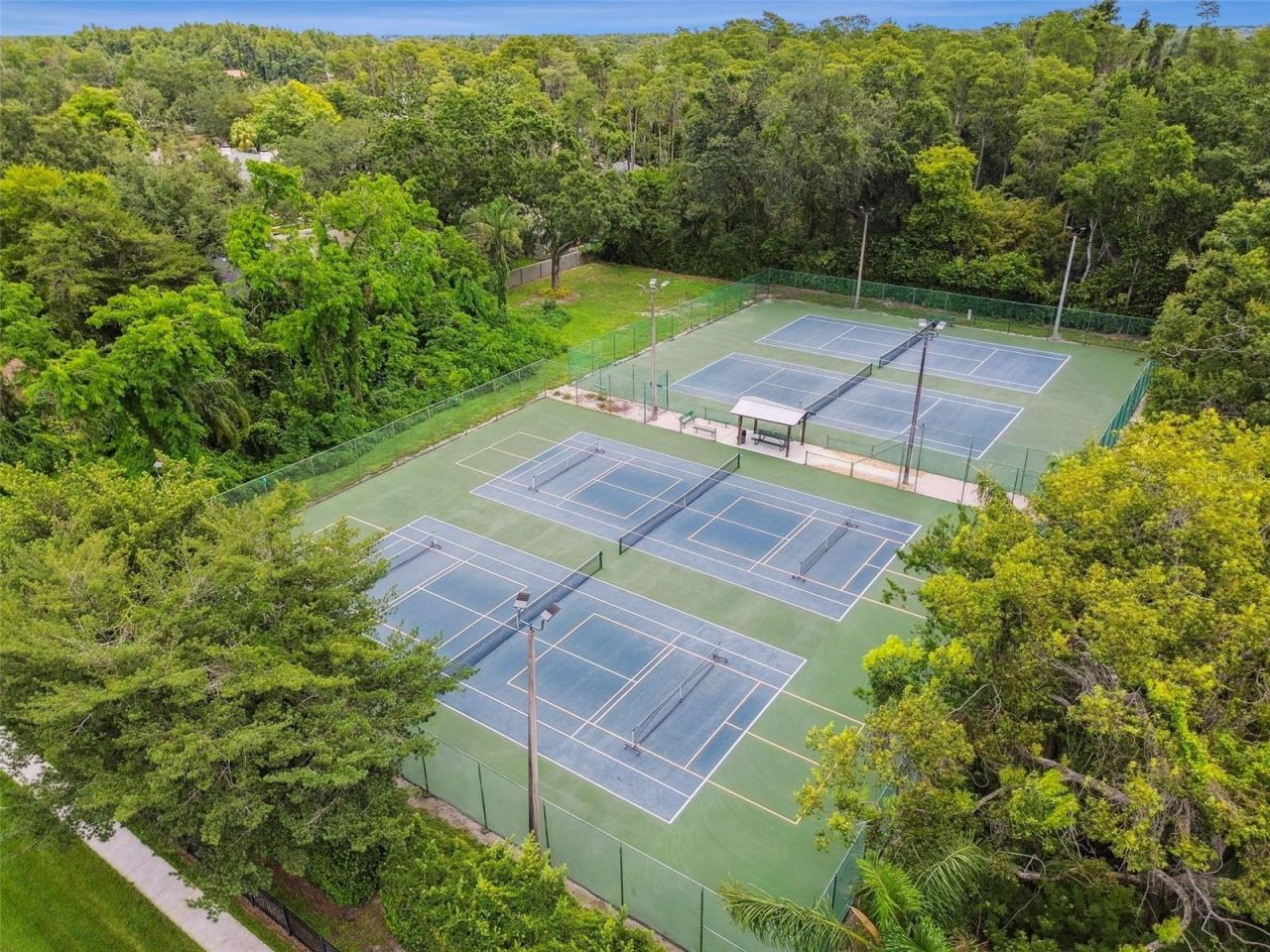 3106 Lake Ellen Drive, Tampa, FL 33618 Photo
