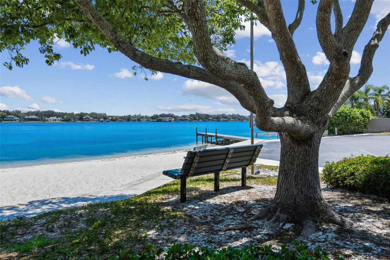 3106 Lake Ellen Drive, Tampa, FL 33618 Photo