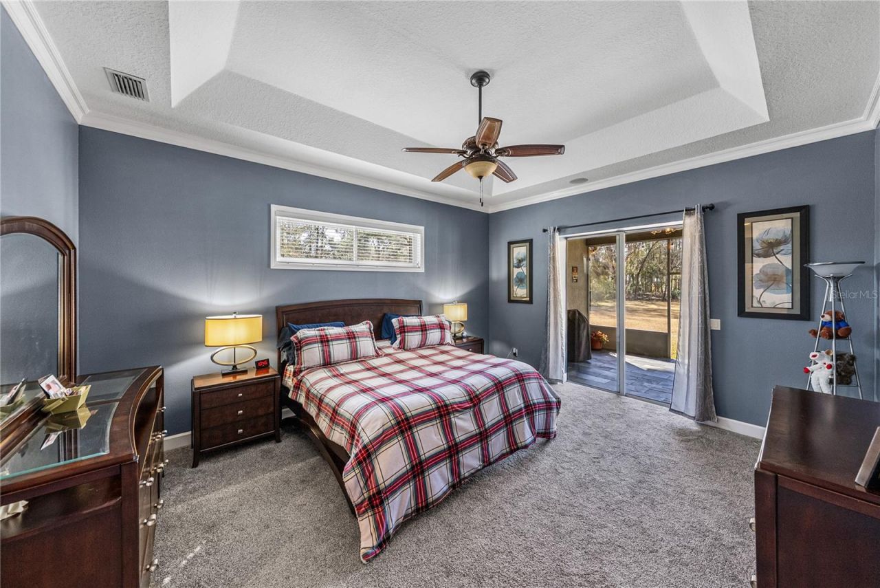 27154 Ravens Brook Road, Wesley Chapel, FL 33544 Photo