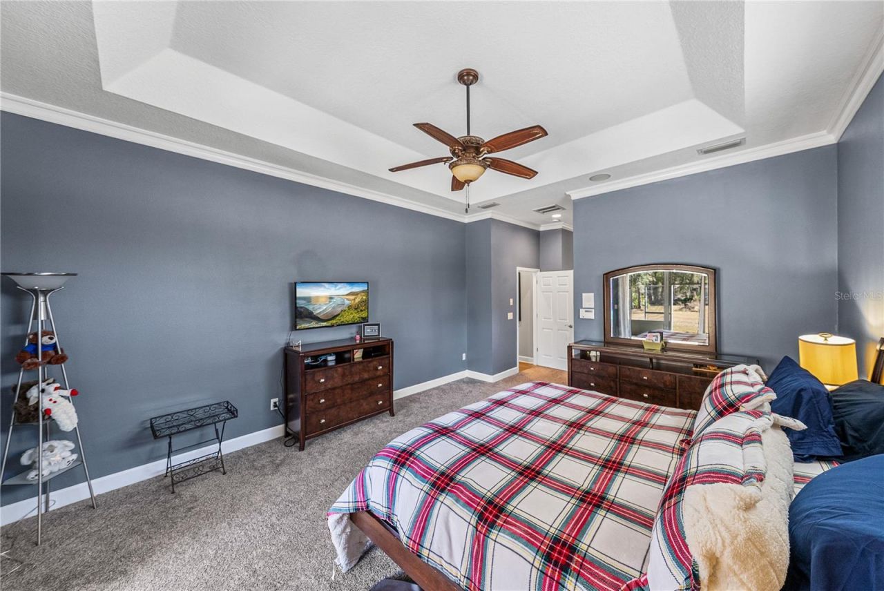 27154 Ravens Brook Road, Wesley Chapel, FL 33544 Photo