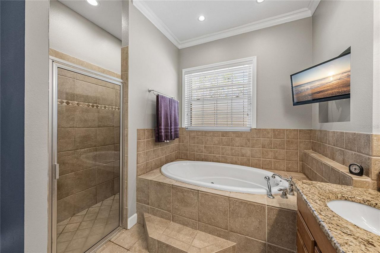 27154 Ravens Brook Road, Wesley Chapel, FL 33544 Photo