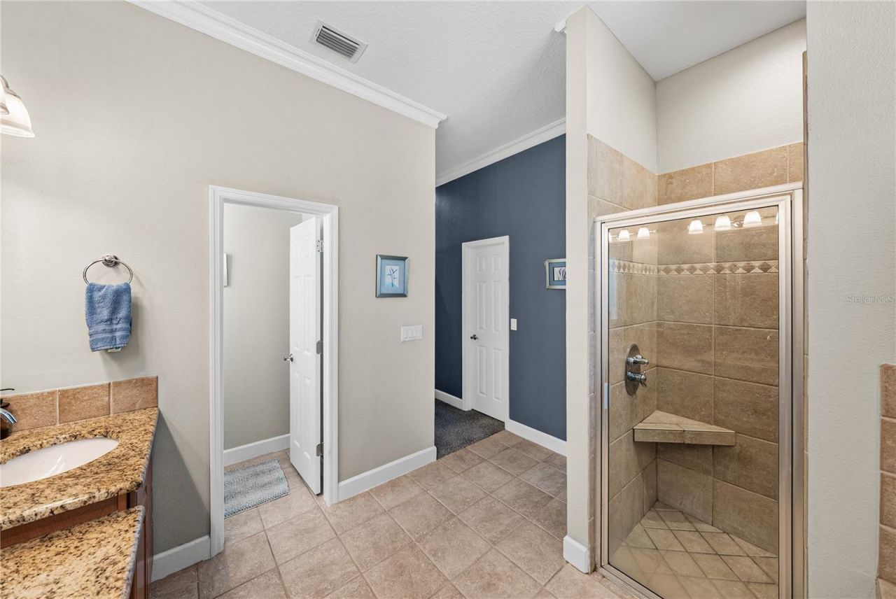 27154 Ravens Brook Road, Wesley Chapel, FL 33544 Photo