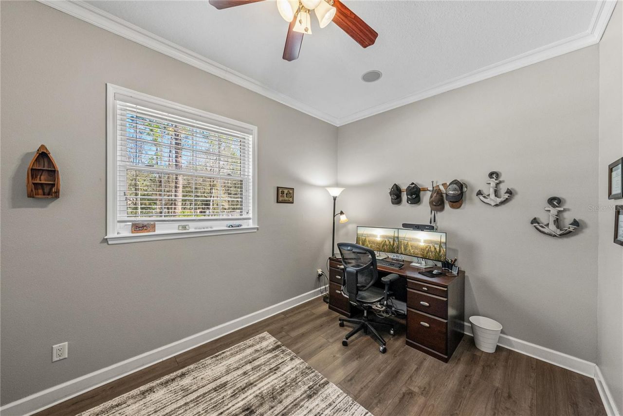 27154 Ravens Brook Road, Wesley Chapel, FL 33544 Photo