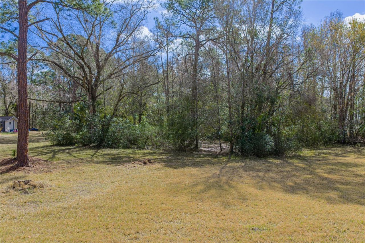 27154 Ravens Brook Road, Wesley Chapel, FL 33544 Photo