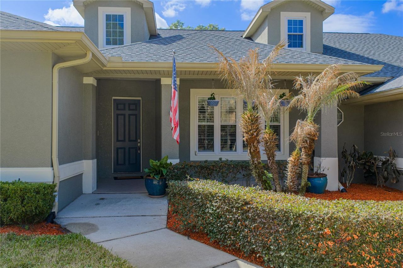 27154 Ravens Brook Road, Wesley Chapel, FL 33544 Photo