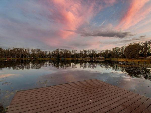 3812 LITTLE ROAD, LUTZ, FL 33548