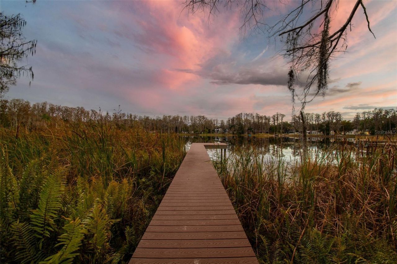 3812 Little Road, Lutz, FL 33548 Photo