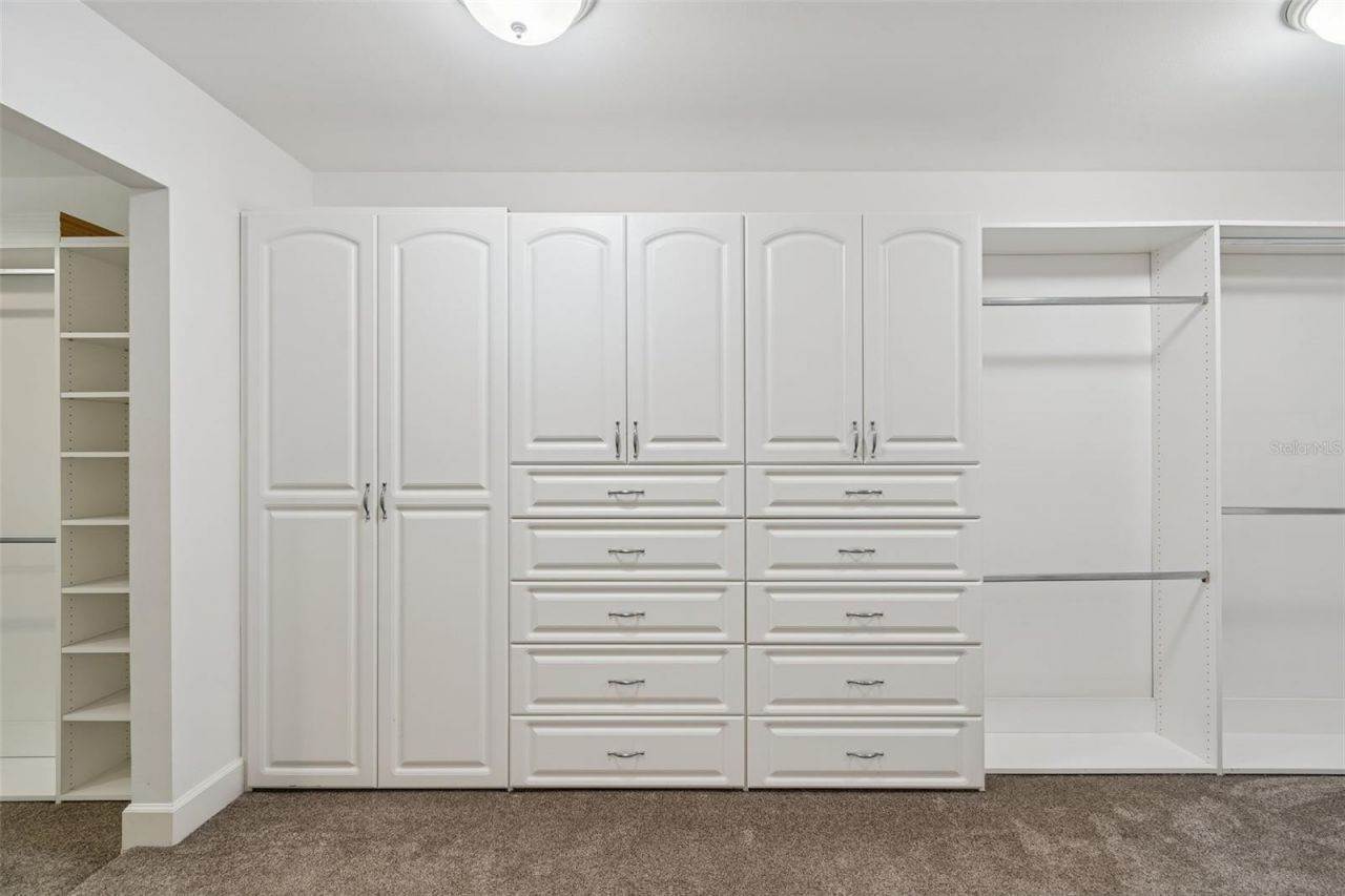 3812 Little Road, Lutz, FL 33548 Photo