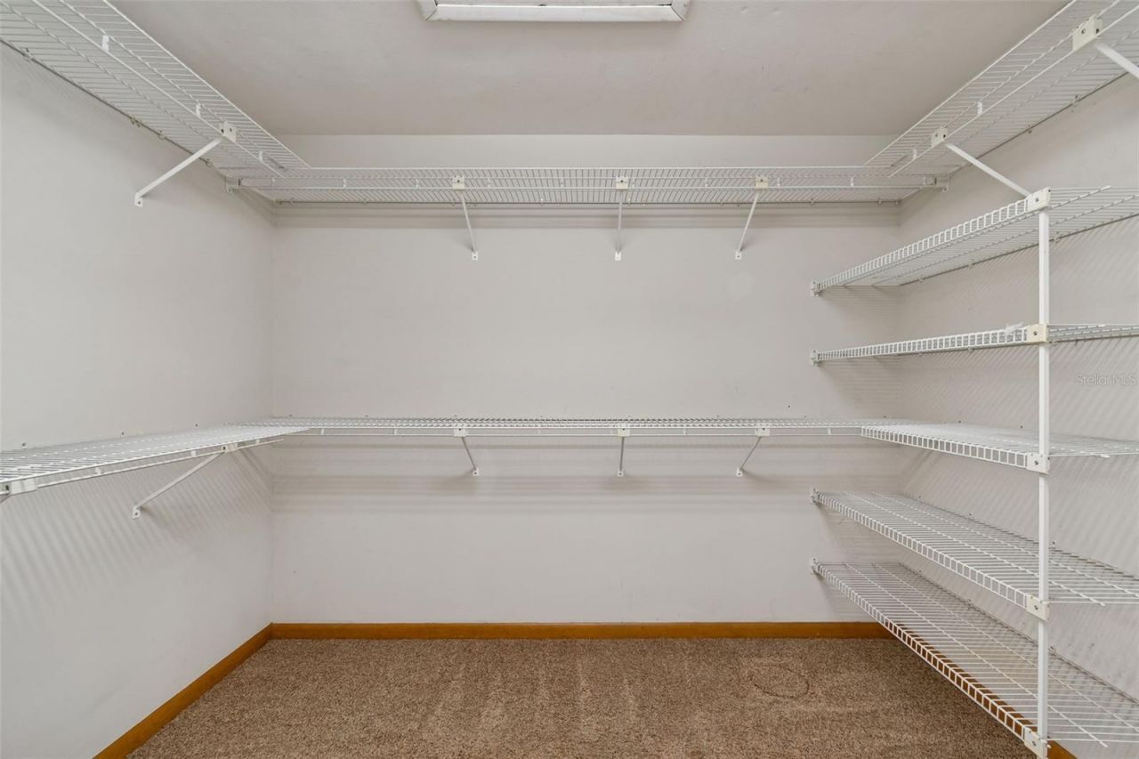 3812 Little Road, Lutz, FL 33548 Photo