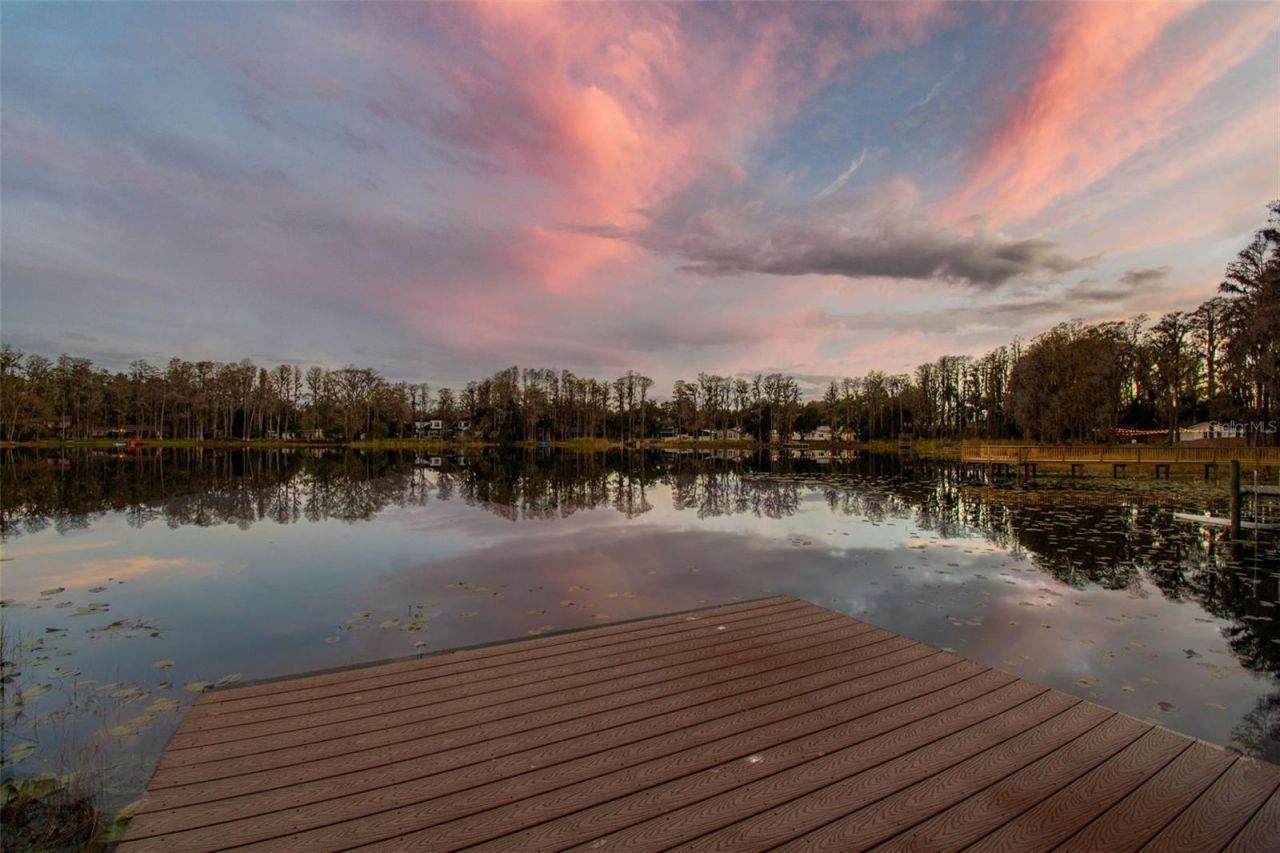 3812 Little Road, Lutz, FL 33548 Photo