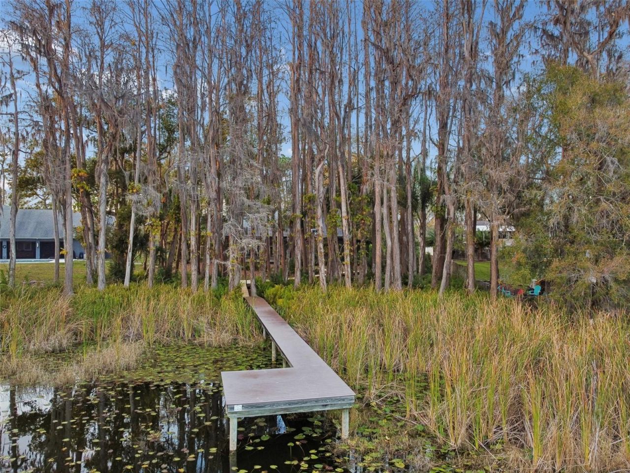 3812 Little Road, Lutz, FL 33548 Photo