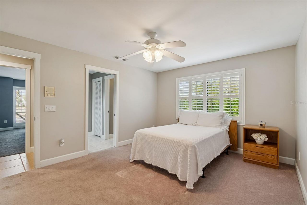 3812 Little Road, Lutz, FL 33548 Photo