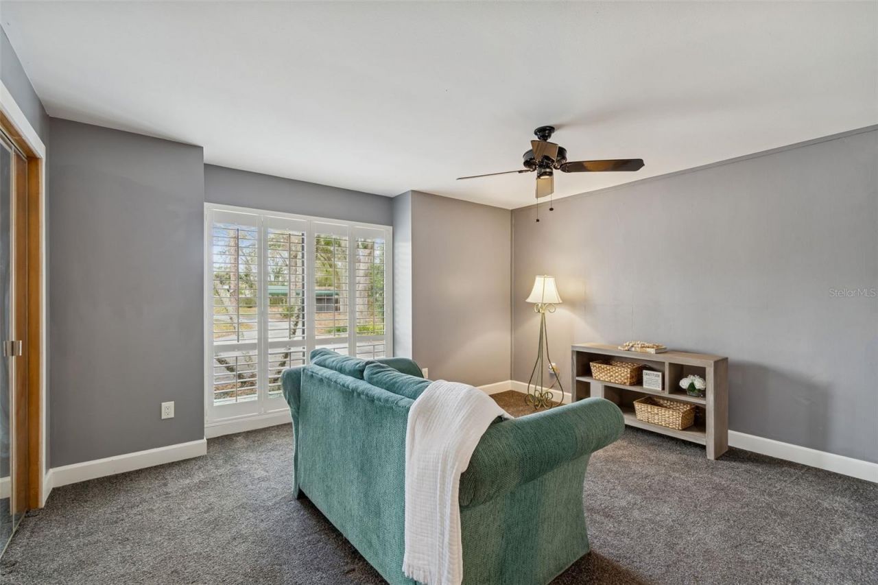 3812 Little Road, Lutz, FL 33548 Photo