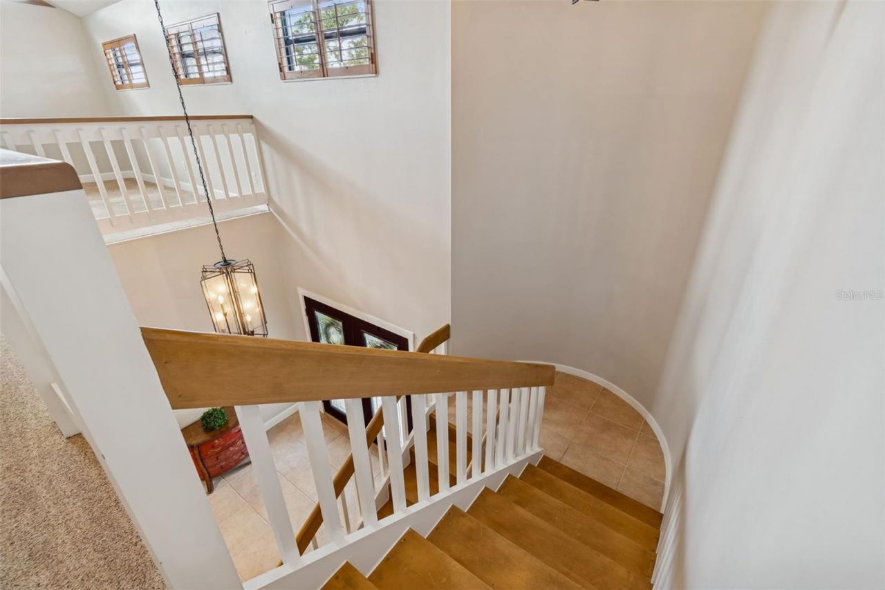 3812 Little Road, Lutz, FL 33548 Photo