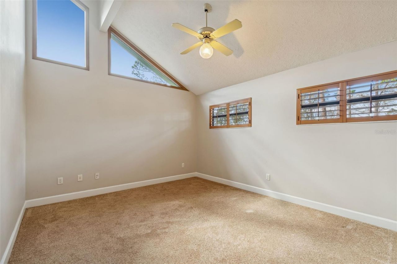 3812 Little Road, Lutz, FL 33548 Photo