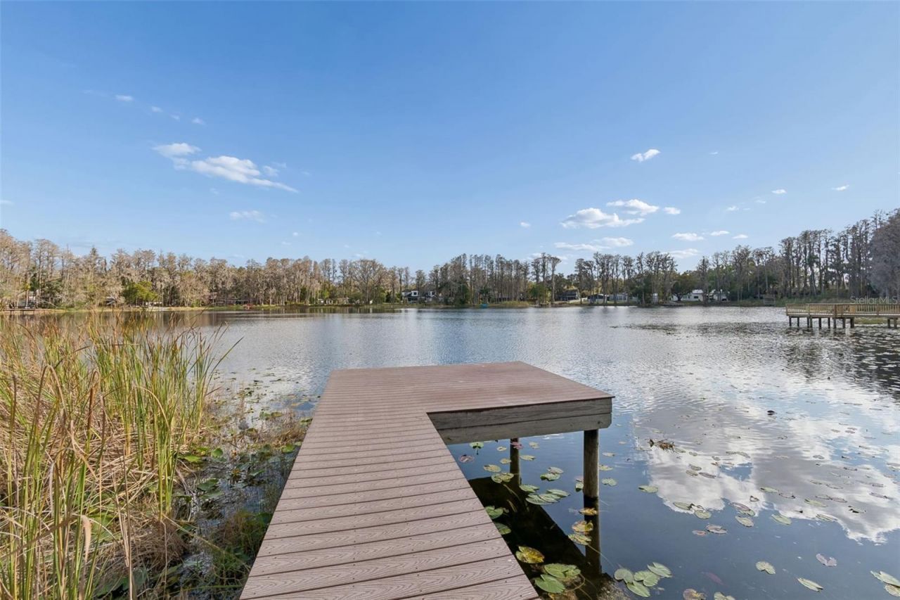 3812 Little Road, Lutz, FL 33548 Photo