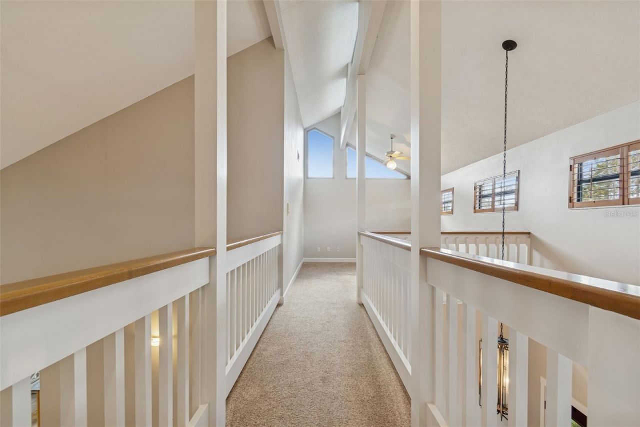 3812 Little Road, Lutz, FL 33548 Photo