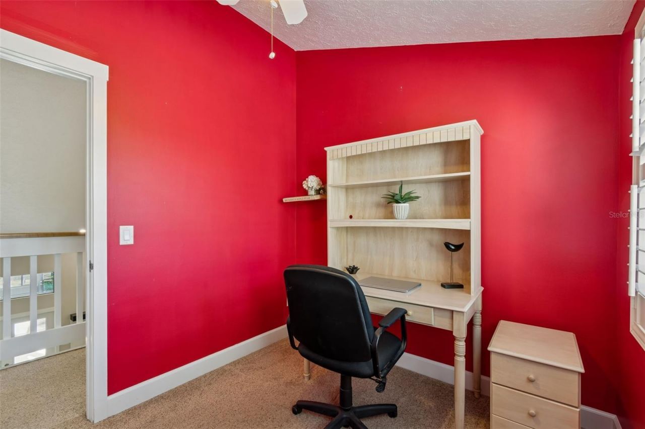 3812 Little Road, Lutz, FL 33548 Photo