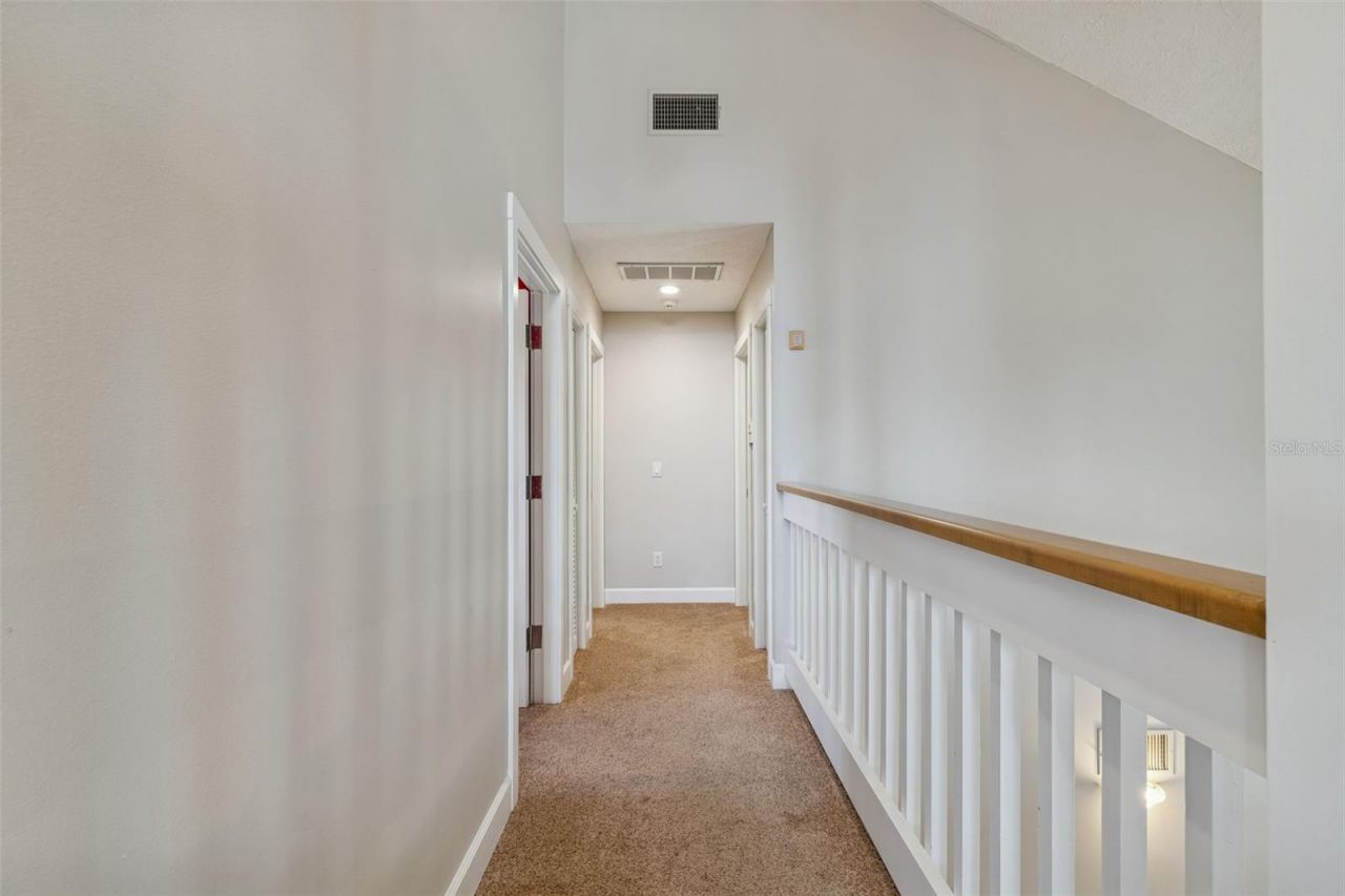 3812 Little Road, Lutz, FL 33548 Photo